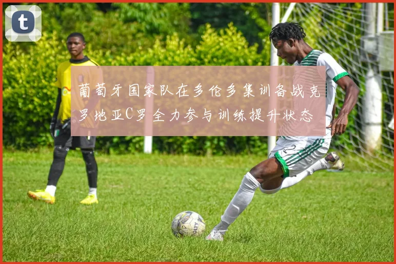 葡萄牙国家队在多伦多集训备战克罗地亚C罗全力参与训练提升状态